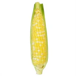 Sweet Corn on the Cob