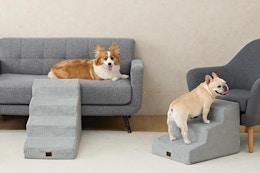 4-Step Pet Stairs, Now $29 on Amazon card image