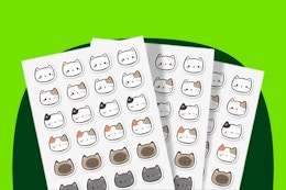 Acne Pimple Patches With Cat Designs, as Low as $3.59 on Amazon card image