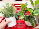 hand holding a faux plant over target cart