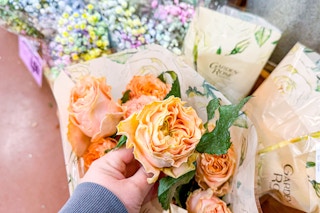 hand holding trader joes valentine flowers