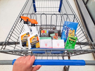Armor All, Summer's Eve, IBgurd, Snuggle, and Kind products in Walmart shopping cart