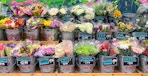 variety of trader joes flowers and bouquets in buckets