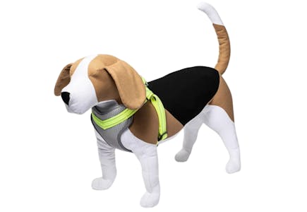 Boots & Barkley Dog Harness