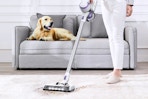 Lifestyle image of the Tineco A10-D Plus Cordless Stick Vacuum being used to clean a carpet in front of a couch (with dog)