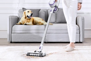 Lifestyle image of the Tineco A10-D Plus Cordless Stick Vacuum being used to clean a carpet in front of a couch (with dog)