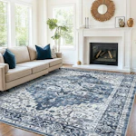 Area Rug