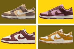 nike dunk shoes