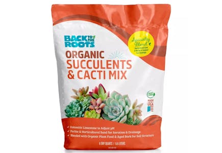Back to the Roots Succulents & Cacti Mix