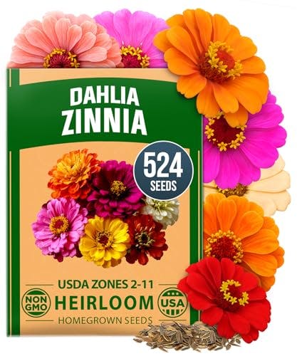 Zinnia Dahlia Seeds