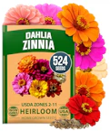 Zinnia Dahlia Seeds