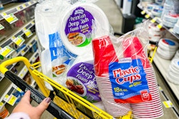 dollar general true living plastic plates and cups