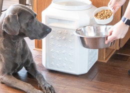 Gamma2 Vittles Vault Container, Now $36.99 for Amazon Pet Day card image