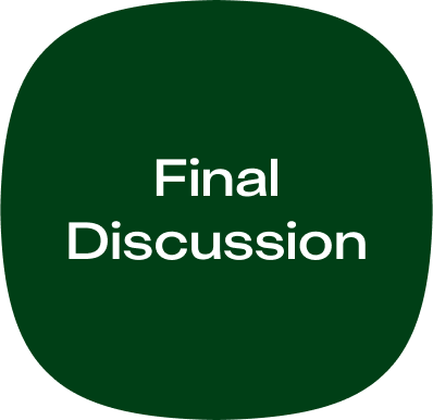 Final Discussion