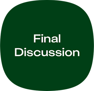 Final Discussion