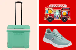 Igloo cooler, Melissa & Doug fire truck board, Skechers