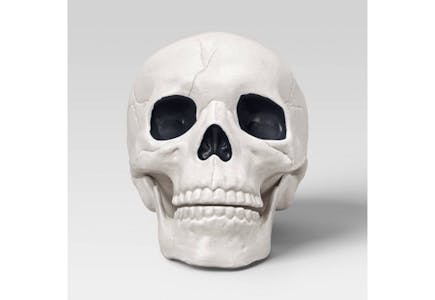 Hyde and EEK! Boutique Skull