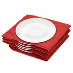 Electric Plate Warmer