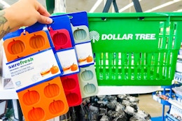 hand holding surefresh ice molds at dollar tree