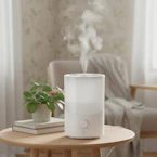 Cool Mist Humidifier