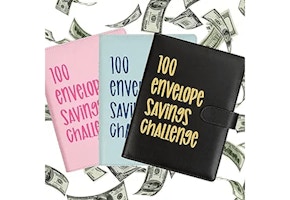 100 Envelope Money Saving Challenge