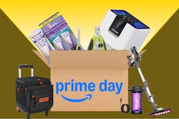 Our Team’s Favorite Amazon Deals All in One Spot card image