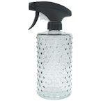 Festive Voice Misting Bottle