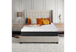 Sealy Queen Mattress