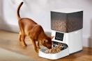 2.4Ghz WiFi Timed Pet Feeder for Cats and Dogs, 4L Auto Pets Food Dispenser with APP, 1-4 Daily Meal Control, 10s Voice Record (White Black)
