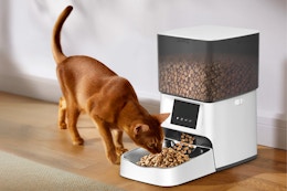 2.4Ghz WiFi Timed Pet Feeder for Cats and Dogs, 4L Auto Pets Food Dispenser with APP, 1-4 Daily Meal Control, 10s Voice Record (White Black)