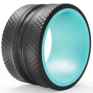 FitBeast Back Roller