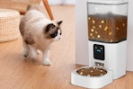 B0F8BNMZQP Pet Feeder