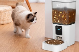 B0F8BNMZQP Pet Feeder