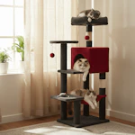 Cat Tower