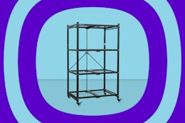 4-Tier Collapsible Storage Shelf, on Clearance for $39 at Walmart card image