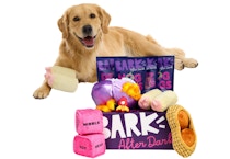 BarkBox 6-Month Subscription