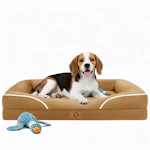 Orthopedic Dog Bed