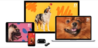 screen shot 2023 09 20 at 122602 pm 1695297116 1695297116