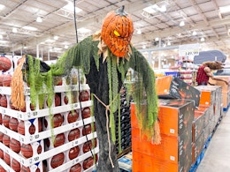 Halloween Animatronics Deals at Costco: Save Between $20 and $70 card image