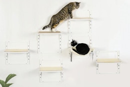 PawHut Cat Modern Wall Shelves 6-Pack, Only $39 at UntilGone (Reg. $150) card image