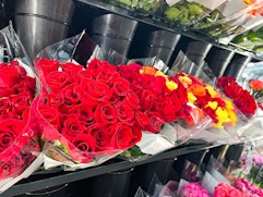 24-Stem Roses for $18.99 at Costco, Plus More Flower Deals card image