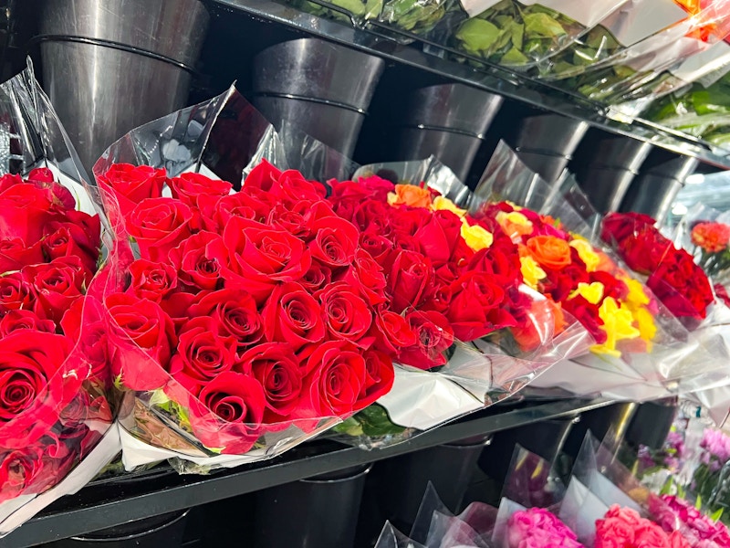 costco-24-stem-roses