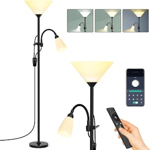 Dimmable Floor Lamp