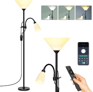 Dimmable Floor Lamp