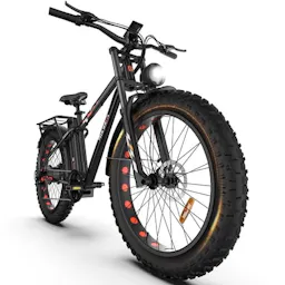 Fat Tire Electric Bike