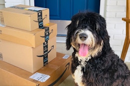 a dog sitting on a porch next to amazon boxes