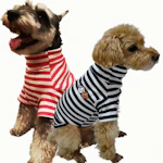 Dog Turtleneck Sweater