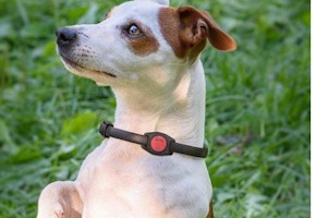 Custom Engraved AirTag Cover