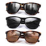 Polarized Sunglasses