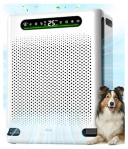 Air Purifier